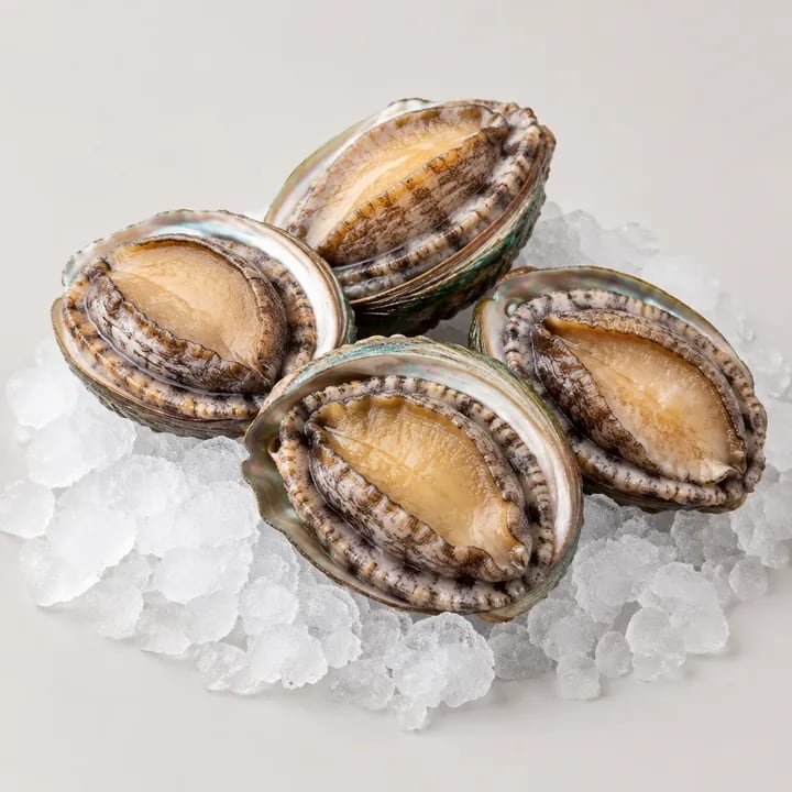 완도 활전복 1kg (10~12미)