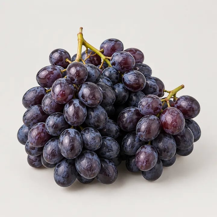 캠벨포도 2kg